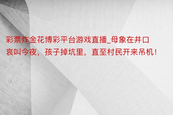 彩票炸金花博彩平台游戏直播_母象在井口哀叫今夜，孩子掉坑里，直至村民开来吊机！